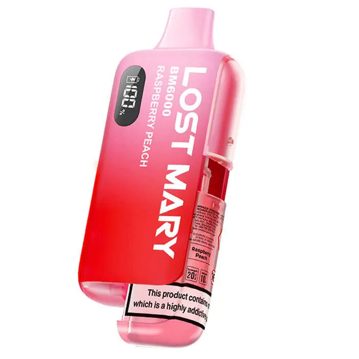 Lost Mary BM6000 Pod Kit